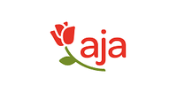 aja Strandhotel Bansin